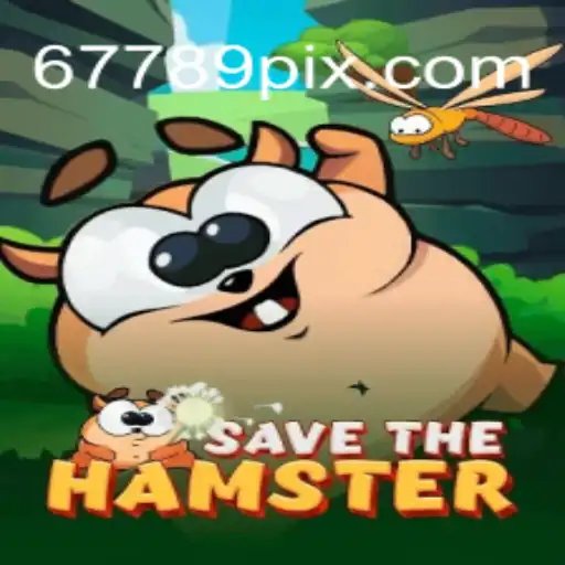 SavetheHamster: Um Aventureiro Desafio Digital